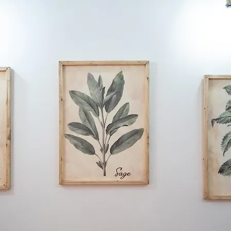 Elsa D'ortigia Πανσιόν